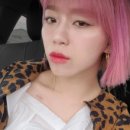 벨리즈 프로헤어 네이버블로그