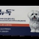 플럼라인 이미지
