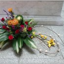 분당요한성당 이미지