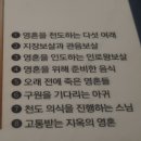 성보 이미지