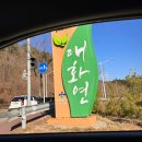 오토123 | 울산 중구 태화연오토캠핑장 n번째 방문 후기 (123번, 212번 사이트)
