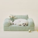 펫봉봉 | 울리 봉봉 펫 소파 L 사이즈, 30% 할인! 메모리폼으로 편안함을 더한 고양이·강아지 침대