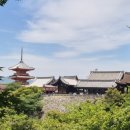 행정사 다인 이미지