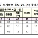 변창흠표 공급대책 과연 약빨이 먹힐까요? 이미지