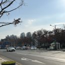 디오사뷰티 | [대구] 동성로 속눈썹 펌 잘하는 뷰티샵 추천 솔직 후기 : ‘디오사뷰티’