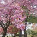 성산패총 이미지