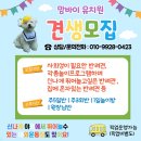 양정유치원