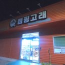 캠핑고래 경산점 | 경산 캠핑용품 저렴한곳 캠핑고래 경산점 방문후기