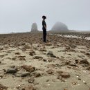 신두사구화장실 | 태안 안면도 여행 꽃지해수욕장 그리고 안면, 밧개 해수욕장 (해변길)