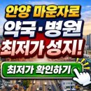 평촌대형약국 | 안양 마운자로 약국·병원 최저가 성지 가격 총정리 직접 알아보고 정리한 현실적인 정보