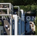 압구정-244 이미지