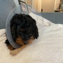 선주동물병원 이미지