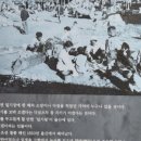 심원권 일기 이미지