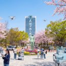 영남대학교 문화예술디자인대학원 이미지