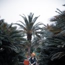 상가리농장 | 제주 애월 가볼만한 곳 여행지 추천 :: 상가리야자숲