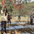 효령면행정복지센터 이미지