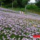 평창군립봉평도서관 이미지