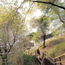 (주)코리아세븐 광주곤지암점 | 🍁 서울에서 1시간! 도심 속 단풍 힐링 스팟 5곳