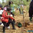 희망나무심기5 이미지