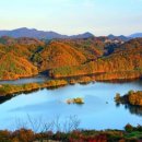"한 곳에서 단풍 명소 모두 즐길 수 있다"... 가을 풍경이 아름다운 충북 옥천 여행 이미지