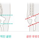 휘연필라테스 네이버블로그