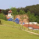 임실엔치즈피자 이미지