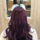 헤어퍼플 이미지