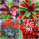 상동호수공원 이미지