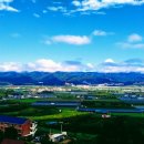 웰리치공인중개사사무소 이미지