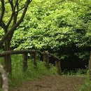 오솔길 - 화성시 | 오솔길