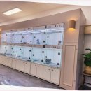 함께 있어줄개 이미지