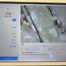 지성헤어크리닉