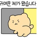 대패생각 석계점 이미지