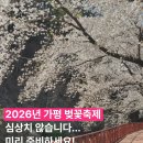 2020-주139 | [공지] 가평 벚꽃축제 인생 샷 명소 추천은 에덴 벚꽃길