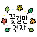 디자인셀럽