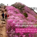 영취산 민박 이미지