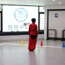 고려용호태권도 이미지