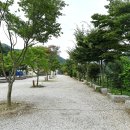 힐빙스토리자동차야영장 이미지