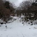 ㈜한타제주판매 | 제주 이끼숲소길 카페 후기｜눈 내린 숲에서 아이들과 힐링한 제주 자연카페