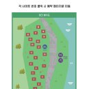 호명산잣나무숲캠핑장 티스토리