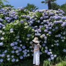 파인유스호스텔 이미지