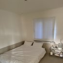 스테이다독 이미지