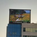 국도광고 이미지