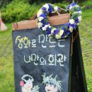 하와이 훌라댄스 이미지