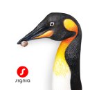 독일시그니아보청기 이미지