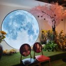 감동식당 이미지