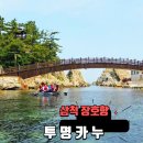 구명카써비스 | 삼척 장호항 투명카누 가격 운영시간 꿀팁 직접 타본 내돈내산 솔직후기