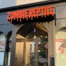 완산-28 | 전주 좀비렙타일 / 초보집사 추천! 🦎 / 크레스티드 게코 분양 후기 / 친구돈친구산