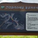 느므즈므 이미지