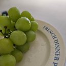 코코농원 이미지